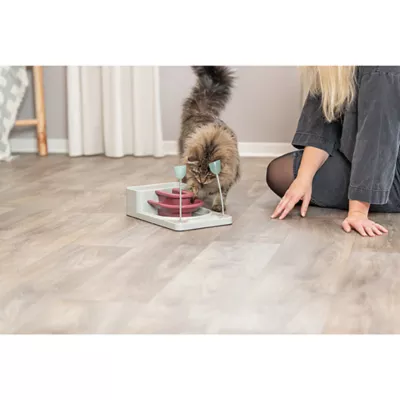 Product TRIXIE Fantasy Board Cat Toy