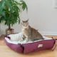 Product Amarkat Burgundy & Ivory Square or Flat Convertible Cat Bed