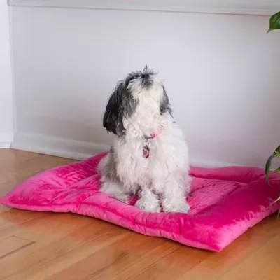 Product Armarkat Luxe Velvet Mat Pet Bed