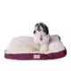 Product Armarkat Burgundy & Ivory Mat Dog Bed