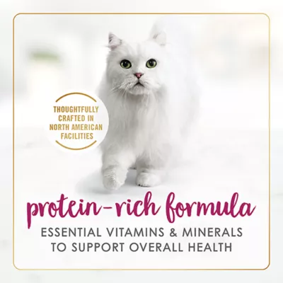 Product Fancy Feast® Delights with Cheddar Wet Cat Food