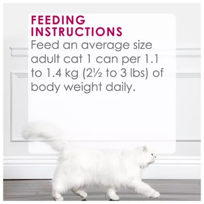 Product Fancy Feast® Delights with Cheddar Wet Cat Food