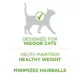 Product Purina ONE +Plus Advantage Indoor Dry Cat Food - Turkey