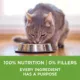 Product Purina ONE +Plus Advantage Indoor Dry Cat Food - Turkey