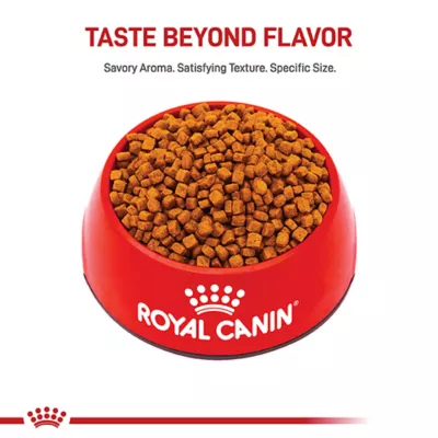 Product Royal Canin Puppy Dry Dog Food - Poodle Breed Health Nutrition, 2.5 lb