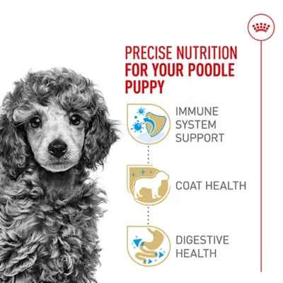 Product Royal Canin Puppy Dry Dog Food - Poodle Breed Health Nutrition, 2.5 lb