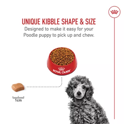 Product Royal Canin Puppy Dry Dog Food - Poodle Breed Health Nutrition, 2.5 lb