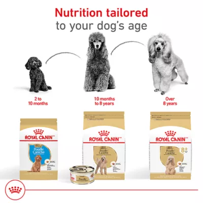 Product Royal Canin Puppy Dry Dog Food - Poodle Breed Health Nutrition, 2.5 lb