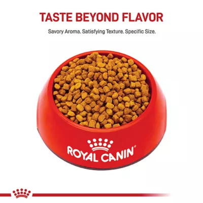 Product Royal Canin Puppy Dry Dog Food - Dachshund Breed Health Nutrition, 2.5 lb
