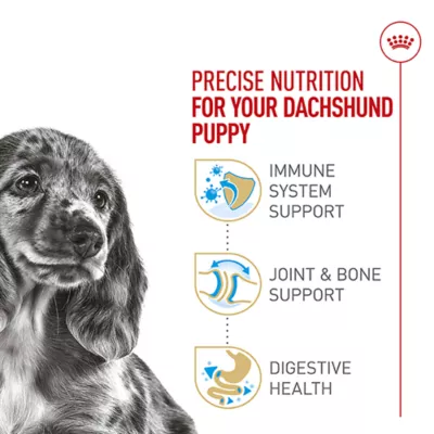 Product Royal Canin Puppy Dry Dog Food - Dachshund Breed Health Nutrition, 2.5 lb