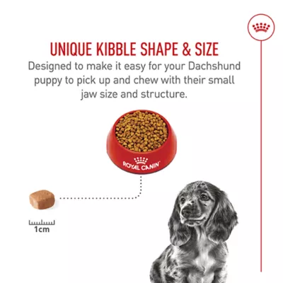 Product Royal Canin Puppy Dry Dog Food - Dachshund Breed Health Nutrition, 2.5 lb