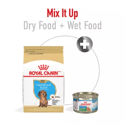 Product Royal Canin Puppy Dry Dog Food - Dachshund Breed Health Nutrition, 2.5 lb