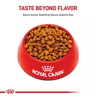 Product Royal Canin Puppy Dry Dog Food - Miniature Schnauzer Breed Health Nutrition, 2.5 lb