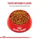 Product Royal Canin Puppy Dry Dog Food - Miniature Schnauzer Breed Health Nutrition, 2.5 lb