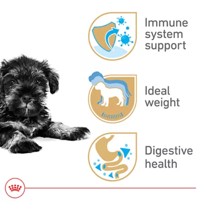 Product Royal Canin Puppy Dry Dog Food - Miniature Schnauzer Breed Health Nutrition, 2.5 lb