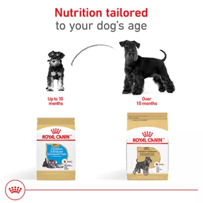 Product Royal Canin Puppy Dry Dog Food - Miniature Schnauzer Breed Health Nutrition, 2.5 lb
