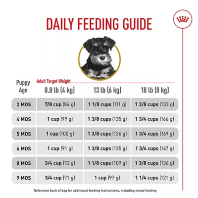 Product Royal Canin Puppy Dry Dog Food - Miniature Schnauzer Breed Health Nutrition, 2.5 lb