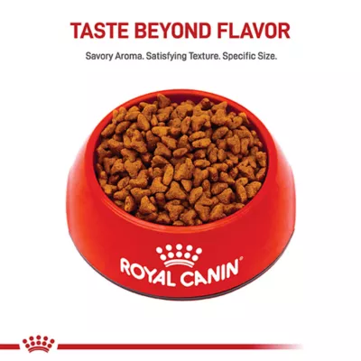Product Royal Canin Puppy Dry Dog Food - Pug Breed Health Nutrition, 2.5 lb