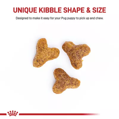Product Royal Canin Puppy Dry Dog Food - Pug Breed Health Nutrition, 2.5 lb