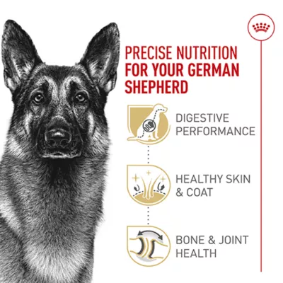 Product Royal Canin Breed Health Nutrition German Shepherd Adult Dry Dog Food