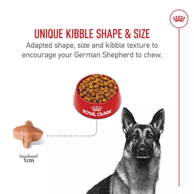 Product Royal Canin Breed Health Nutrition German Shepherd Adult Dry Dog Food