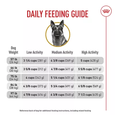 Product Royal Canin Breed Health Nutrition German Shepherd Adult Dry Dog Food