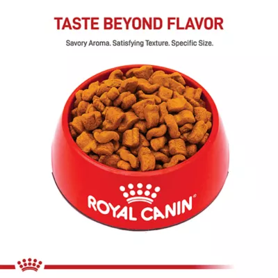 Product Royal Canin® Breed Health Nutrition® Boxer Breed Specific Adult Dog Dry Food
