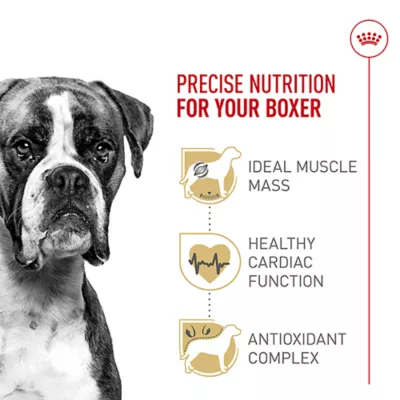 Product Royal Canin® Breed Health Nutrition® Boxer Breed Specific Adult Dog Dry Food