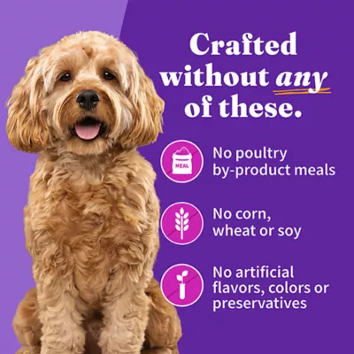 Product Halo Grain Free Small Breed Adult Wet Dog Food - Turkey & Duck Recipe, 5.5 oz