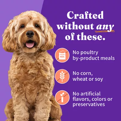 Product Halo Grain Free Small Breed Adult Wet Dog Food - Chicken & Salmon Recipe, 5.5 oz