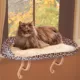 Product Deluxe Bolster Kitty Sill
