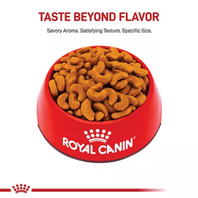 Product Royal Canin® Breed Health Nutrition® French Bulldog Adult Dog Dry Food