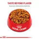 Product Royal Canin® Breed Health Nutrition® French Bulldog Adult Dog Dry Food