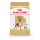 Product Royal Canin® Breed Health Nutrition® Boxer Breed Specific Adult Dog Dry Food