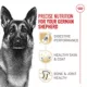 Product Royal Canin Breed Health Nutrition German Shepherd Adult Dry Dog Food
