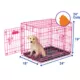 Product Petmate® 2-Door Puppy Training Retreat Dog Crate