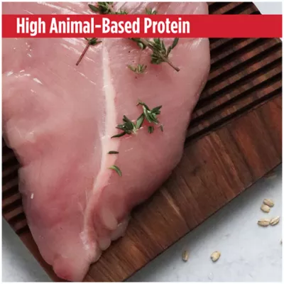 Product Nulo MedalSeries All Life Stage Wet Dog Food - No Corn, Wheat & Soy, 13 Oz.