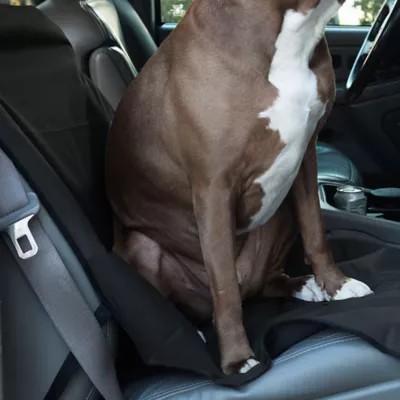 Product Majestic Pet Products Bucket Seat Cover