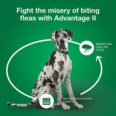 Product Advantage® II Over 55 lbs Dog Flea & Lice Treatment