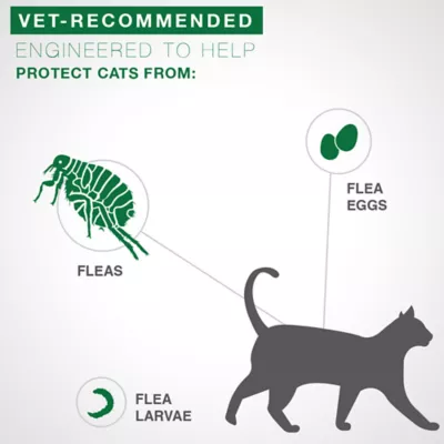 Product Advantage® II Over 9 lbs Cat Flea Prevention & Treatment
