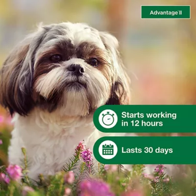 Product Advantage® II 3-10 lbs Dog Flea & Lice Treatment