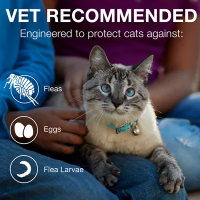 Product Advantage® II Over 9 lbs Cat Flea Prevention & Treatment