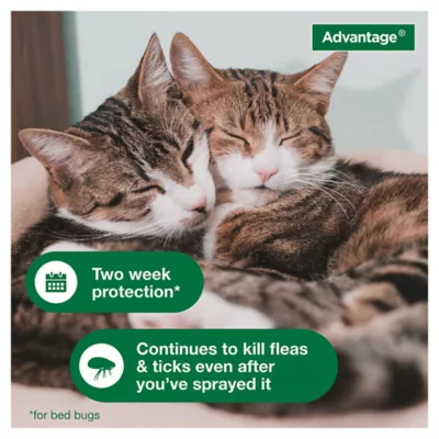 Product Advantage Dog Flea and Tick Spray - 24 Fl Oz