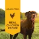 Product Instinct® Original All Life Stages Wet Dog Food - Grain Free