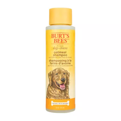 Burt's Bees® Oatmeal Shampoo for Dogs
