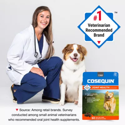 Product Nutramax® Cosequin® DS Joint Health Supplement for Dogs - Soft Chews with MSM & Boswellia