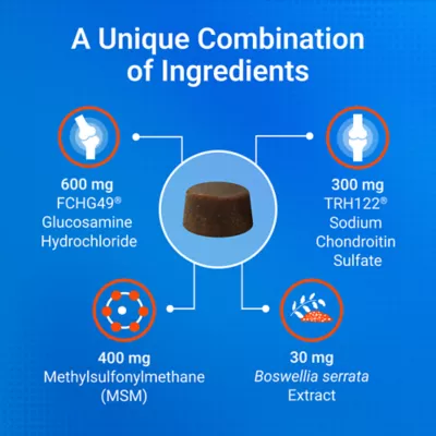 Product Nutramax® Cosequin® DS Joint Health Supplement for Dogs - Soft Chews with MSM & Boswellia