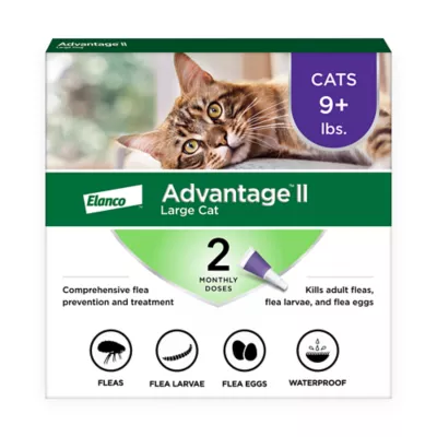Product Advantage® II Over 9 lbs Cat Flea Prevention & Treatment