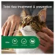 Product Advantage® II Over 9 lbs Cat Flea Prevention & Treatment