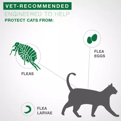 Product Advantage® II Over 9 lbs Cat Flea Prevention & Treatment
